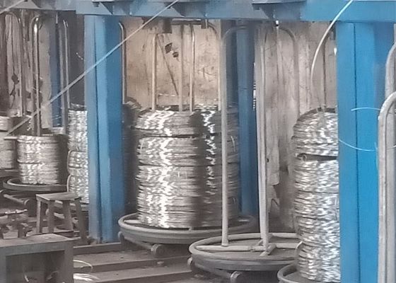 Giá tốt. Chống nóng Cuộn dây thép không gỉ 5mm cán nóng trực tuyến